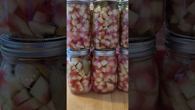 Pickled Melon Rind