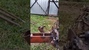 Крепление навески мотоблока на третий болт