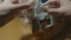 Распаковка лошадей) Шайры