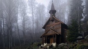 Райская птичка. Стихотворение.