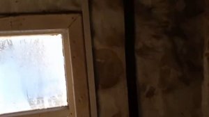 курятник зимой без электричества на даче