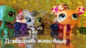 LPS:Вся моя Коллекция LPS