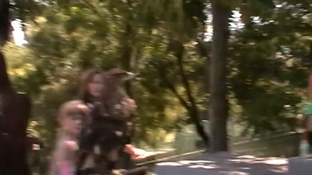 ул. фотографы издеваются над животными. одесса смотреть онлайн