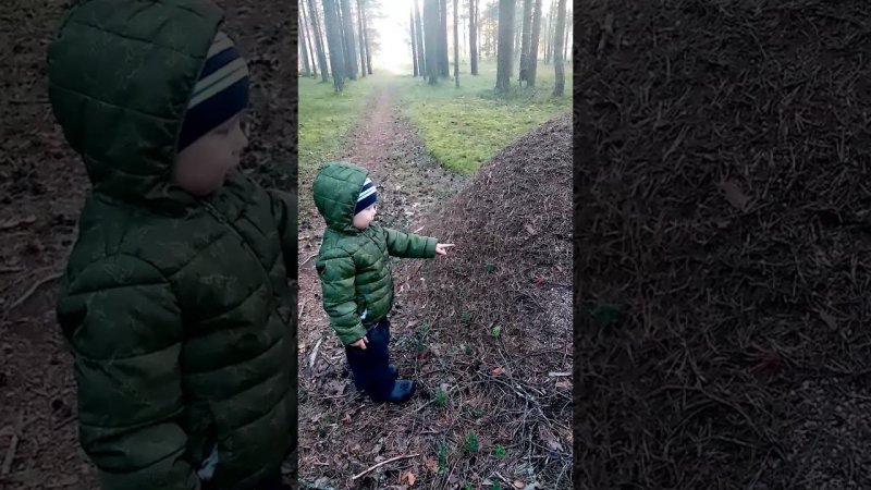 "Вот они!" Знакомимся с миром природы и учимся говорить. Ох, уж эти муравьи! Сразу не выговоришь!