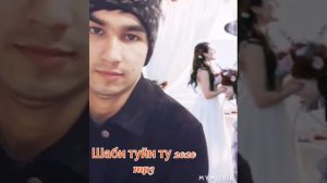 Шаби туйи ту