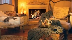 Уютная комната с камином и котом | Бесплатные футажи для монтажа