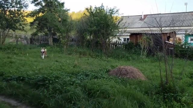 Гоню шальные мысли/ Диве новые просторы смотреть онлайн