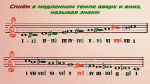 теория музыки ХРОМАТИЧЕСКАЯ ГАММА мажор