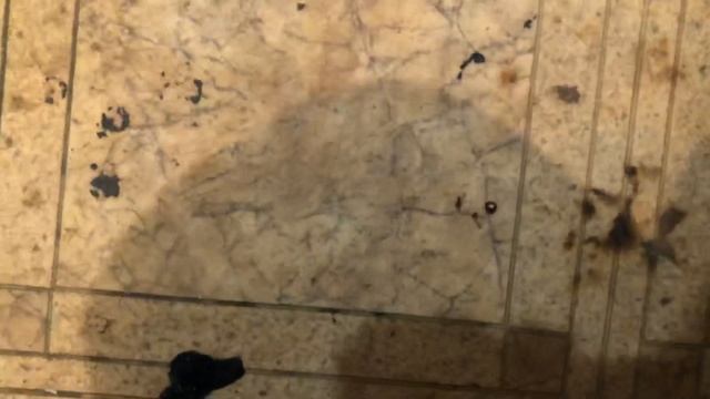 Экспериментальная Иж Планета Водянка Новый Москвич-412 смотреть онлайн