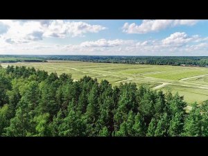 Группа коттеджных посёлков Shelkovo Eco Club