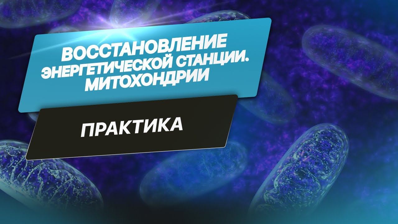 «Восстановление энергетической станции. Митохондрии». Краткий экскурс сеанса