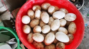 Грязное видео, я такой... птицевод