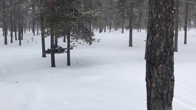 Testing Lynx Adventure GT 900 Ace four-stroke maneuverability in Lappland смотреть онлайн