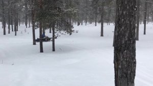 Testing Lynx Adventure GT 900 Ace four-stroke maneuverability in Lappland