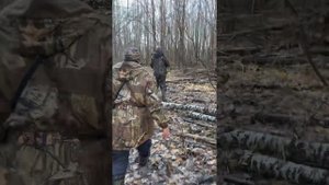 Испытания собак по кровяному следу