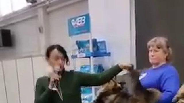 Гулливер победитель выставки! смотреть онлайн