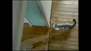 Реклама Whiskas 2005