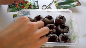 Посадка комнатных огурцов и томатов. Торфяные таблетки