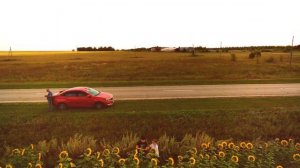 Полет над полем подсолнуха