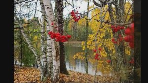 Осенняя радость. Александр Блок.