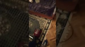 Обзор: Пылесос Elenberg 1400W