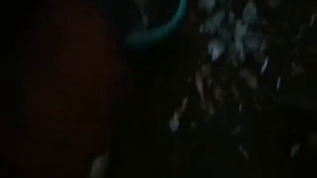 Гексорал смотреть онлайн