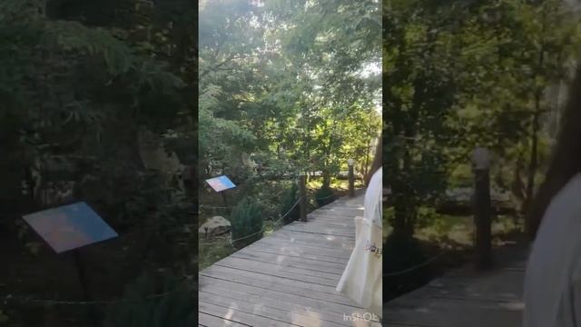 ПАРК-СКАЗКА (МОСКВА) смотреть онлайн