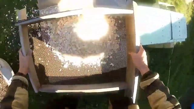 ЩУЧЬИ ГОЛОВЫ КОПЧЁНЫЕ/ЩЕПА ДЛЯ КОПЧЕНИЯ СВОИМИ РУКАМИ/. смотреть онлайн