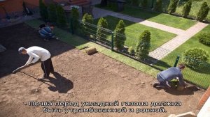 Как сделать газон на даче своими руками: пошаговая инструкция