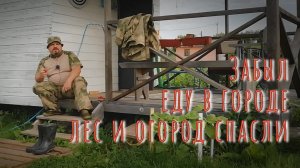 10.08.2024 Забыл еду в городе, лес и огород спасли положение.