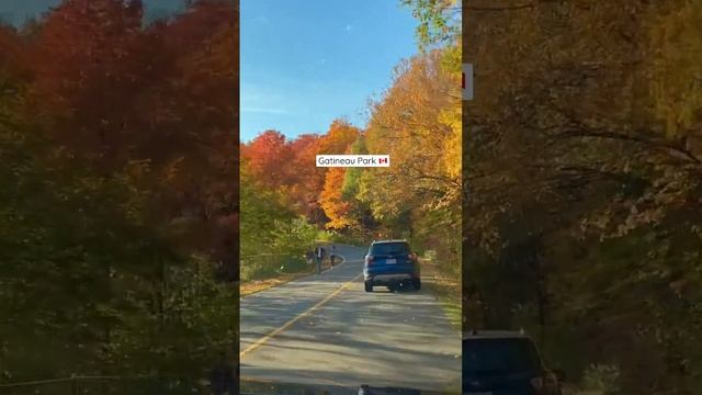 Gatineau in Fall #canada #gatineau #fallcolors #indiansincanada #ontario #ottawa #canadavisa