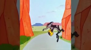 Correcaminos y el Coyote - Road Runner  Wile e Deluxe