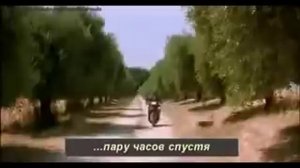 Осел время