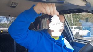 Ароматизатор в машину LITTLE TREES АРОМАТИЗАТОР ЁЛОЧКА СЕРДЦЕ СЕВЕРА TRUE NORTH