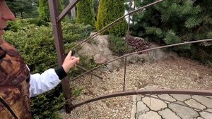 Как обрезать виноград весной. Виноград весной