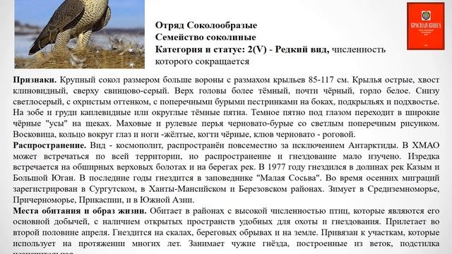 Красная книга ХМАО смотреть онлайн