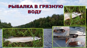 И снова рыбалка в мутную воду!