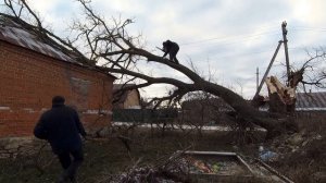 В селе после урагана дерево упала на крышу дома и порвала провода!Жизнь в селе!