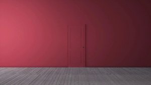 ФУТАЖ -ДВЕРЬ - ХРОМАКЕЙ НА ЗЕЛЕНОМ ФОНЕ