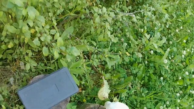 Замена масла, пропитка воздушного фильтра на ПитБайке KAYO 125✅ смотреть онлайн