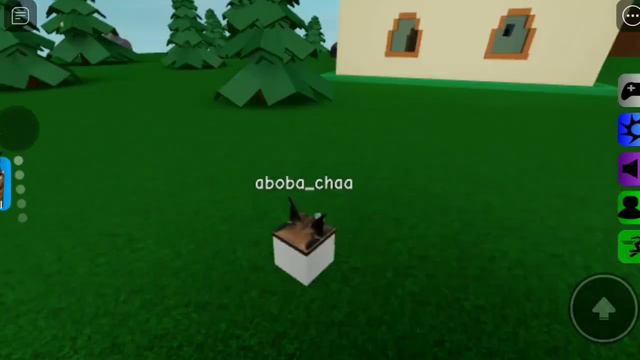 ВСЕ ФЛОППЫ НА БАЗОВОЙ КАРТЕ || ROBLOX FIND THE FLOPPA MORPHS смотреть онлайн