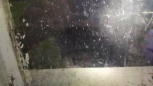 ✅Заброшенный детский сад в лесу. ЖЕСТЬ!!!  Заброшенные места. Заброшенный дом.