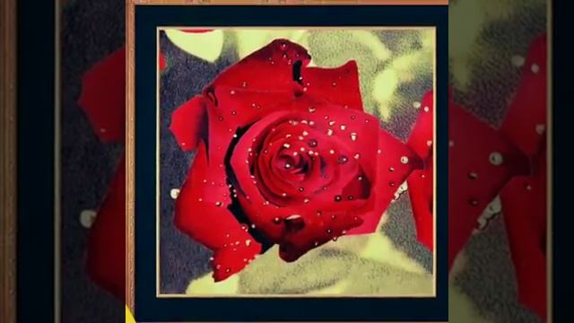 Что подарить девушке? Подарок Любимой женщине.