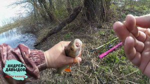 Весенний голавль на корку. Как ловить голавля на донку.