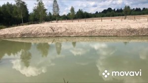 Запуск рыби в пруд.Ловля линя в своем пруду 2020.Линки по 500грам