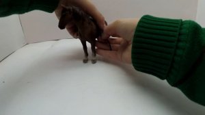 Пад для езды без седла для лошади Schliech