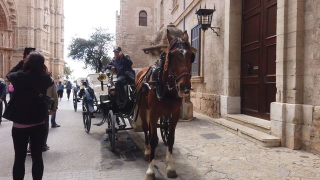 Palma Cathedral смотреть онлайн