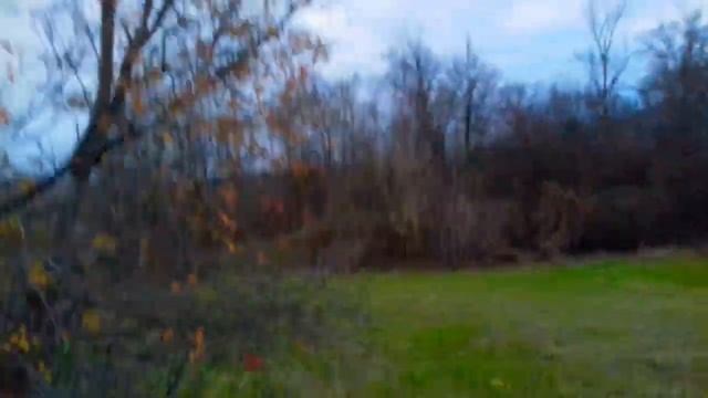 ИДЁМ ЗА КОРОВОЙ ВЕЧЕРОМ ☝ смотреть онлайн