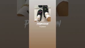 permission - ro james ( sped up )