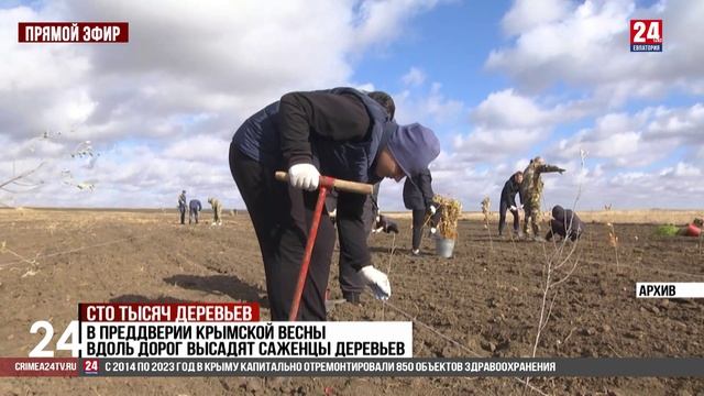 Сто тысяч деревьев